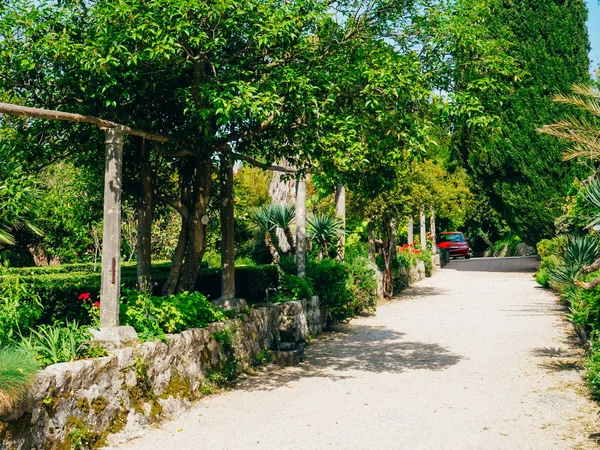 Πλούσια βλάστηση, πλακόστρωτο διάδρομο και περίπτερο δενδρολογικός κήπος σε Trsteno — Φωτογραφία Αρχείου