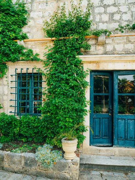 Yemyeşil bitki örtüsü, döşeli geçit ve Trsteno içinde botanik bahçesi pavyonu