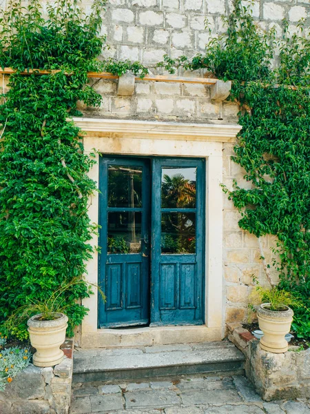 Frodig vegetation, asfalterade passage och paviljongen på arboretum i Trsteno — Stockfoto