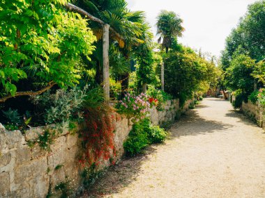 Yemyeşil bitki örtüsü, döşeli geçit ve Trsteno içinde botanik bahçesi pavyonu