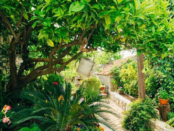 Weiße Gießkanne zur Bewässerung des Gartens, die an einem Baum hängt. — Stockfoto