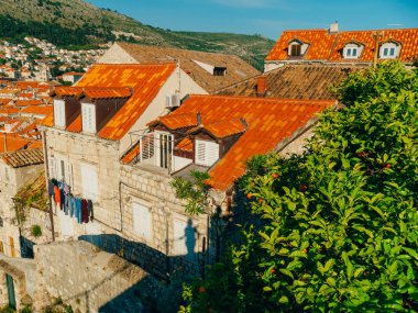 Dubrovnik'in tarihi kent, Hırvatistan. Kiremitli çatıları evlerin. Kilise TH