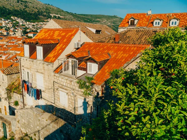 Dubrovnik Old Town, Croatia. Tiled roofs of houses. Church in th — Stock Photo, Image