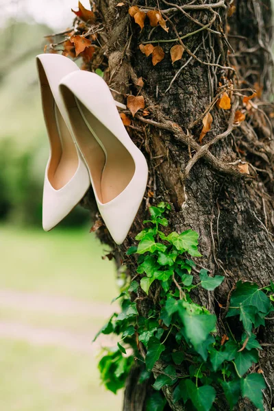 Zapatos de novia crema ligera colgando de una rama —  Fotos de Stock