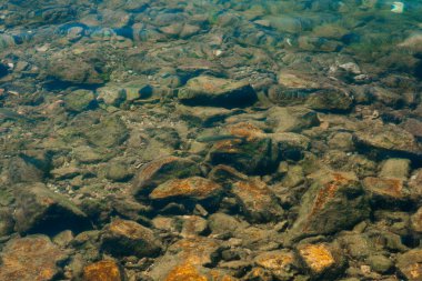 Yukarıdan su yoluyla su görünümünde balık. Şeffaf wat