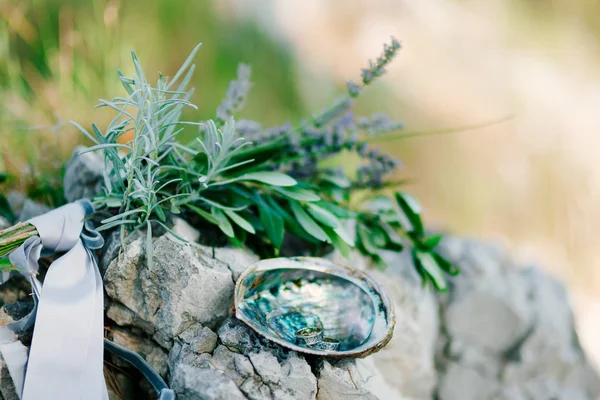 Anillos de boda en la piedra y la rama de olivo. Joyería de boda — Foto de Stock