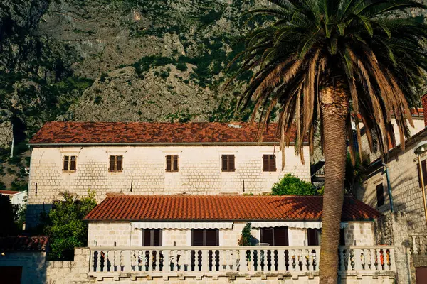 Villa a tengerparton. Montenegró, a Kotori-öböl — Stock Fotó