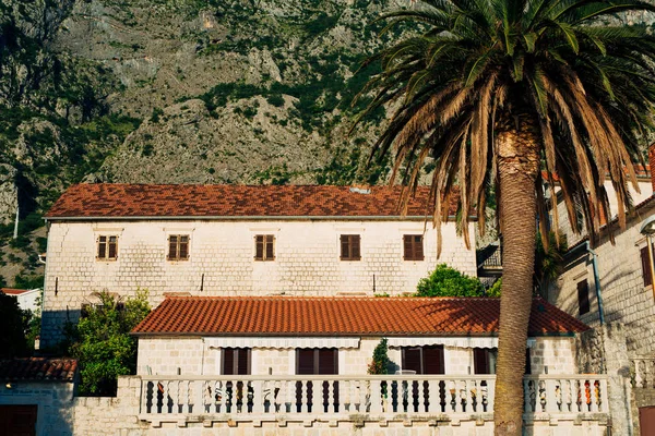 Villa a tengerparton. Montenegró, a Kotori-öböl — Stock Fotó