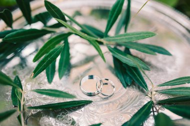 Zeytin dalı ile gümüş tepside alyans. Jewe düğün
