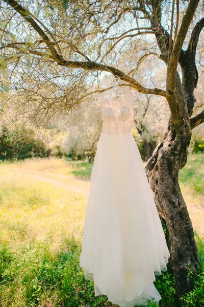 El vestido de novia cuelga de una percha en un olivo. Recogida — Foto de Stock