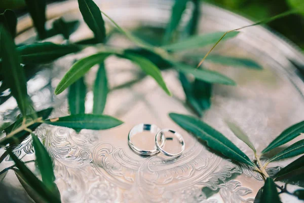 Anillos de boda en una bandeja de plata con ramas de olivo. Jewe de boda — Foto de Stock