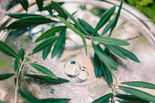 Anillos de boda en una bandeja de plata con ramas de olivo. Jewe de boda — Foto de Stock