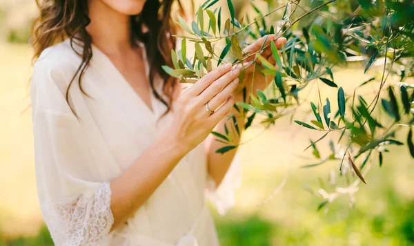 Оливковая ветвь в женских руках. Руки невесты. Свадьба в Мон — стоковое фото