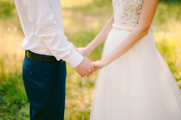 Pár se drží za ruce v olivovém háji. Novomanželé oli — Stock fotografie