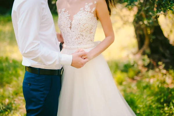 Un couple se tient la main dans une oliveraie. Mariés dans un oli — Photo