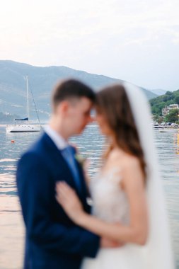 Yatlar, tekneler, gemiler Kotor Körfezi