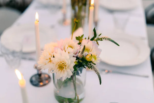 White asters on the table in the restaurant. Wedding decorations — Stock Photo, Image