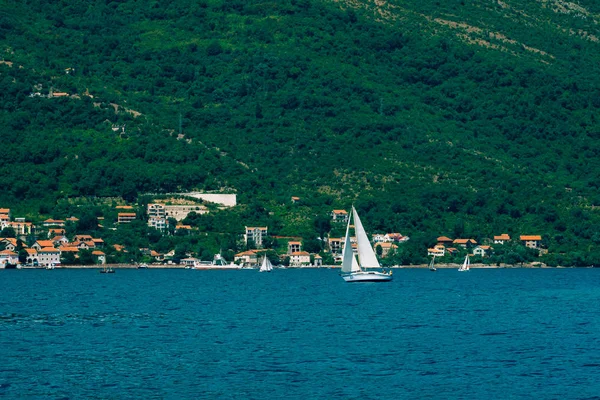 Regata de vela no Montenegro. Regata em iates na Baía de Boka — Fotografia de Stock