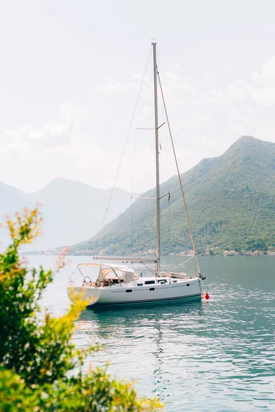 Segelbåt i den antika staden Perast i fjärden av Kotor, Monteneg — Stockfoto