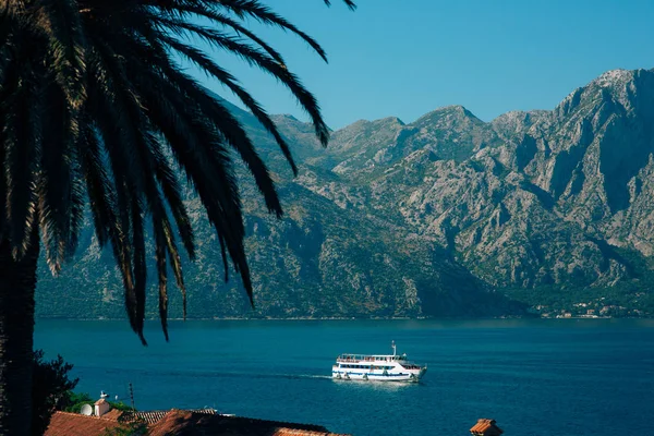 Big cruise ship in the Bay of Kotor in Montenegro. View it from — Stock Photo, Image