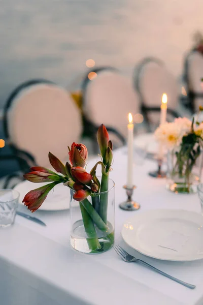 Flowers of gippeastrum in wedding floristics. Wedding in Montene — Stock Photo, Image