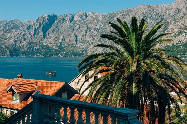 Iates, barcos, navios na Baía de Kotor — Fotografia de Stock