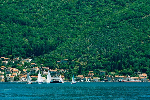 Zeilregatta in Montenegro. Regatta op jachten in de Boka Bay — Stockfoto