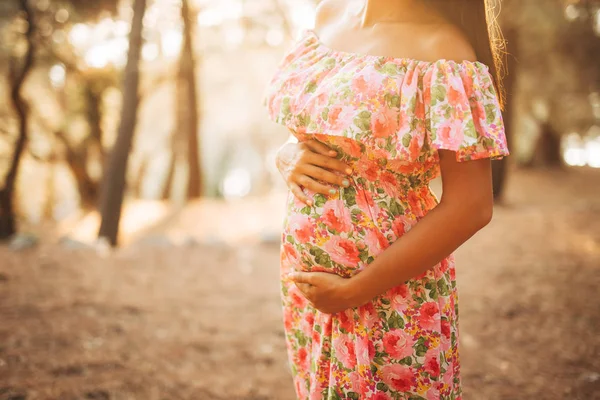 Mujer embarazada sosteniendo el vientre con las manos — Foto de Stock