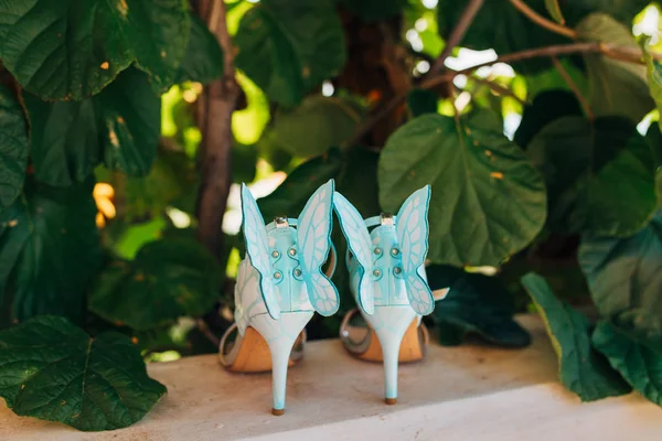 Sepatu pengantin wanita di daun pohon kiwi. — Stok Foto