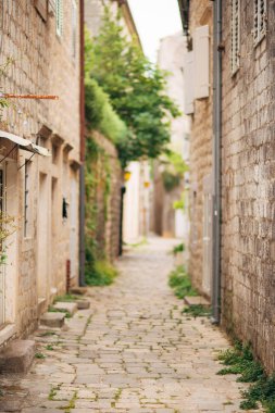 Eski Balık tutma kasaba Perast shore Kotor Körfezi