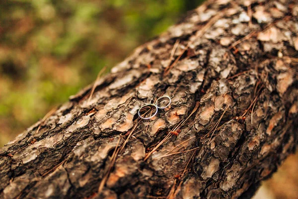 Bagues de mariage or — Photo