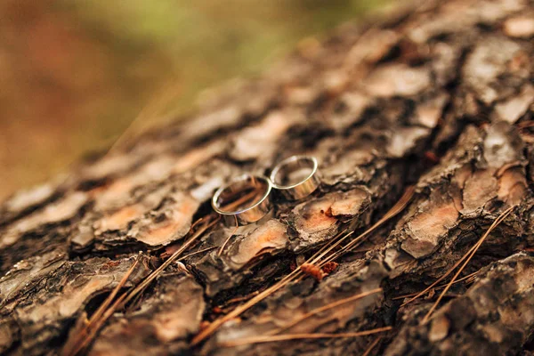 Anillos de boda de oro — Foto de Stock