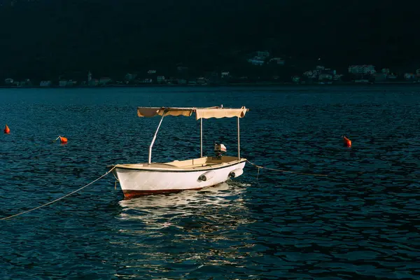 Yachter och båtar i Adriatiska havet — Stockfoto