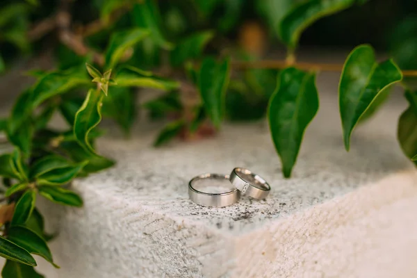 Anéis de casamento nas pedras na grama — Fotografia de Stock