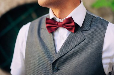 Kelebek Yakın plan. Gelinlik Damat Takımı