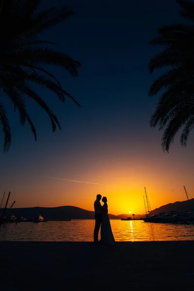 Silhueta de um casal recém-casado no fundo do pôr-do-sol — Fotografia de Stock