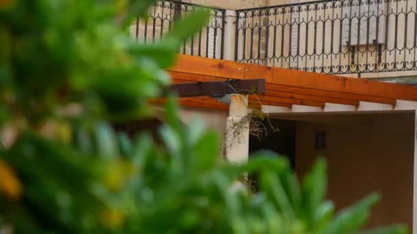 몬테네그로 코토르의 해안만 엘리트 호텔 — 비디오