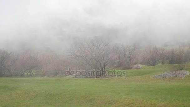 Густой туман в лесу и в горах в деревне N — стоковое видео