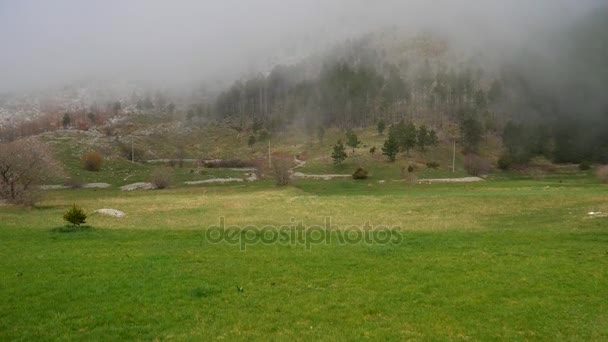 Dichter Nebel im Wald und in den Bergen im Dorf n — Stockvideo