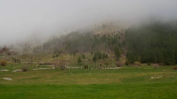 Nebbia fitta nella foresta e nelle montagne nel villaggio di N — Video Stock