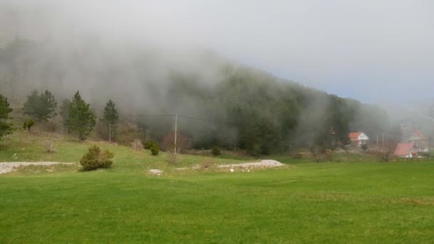 Gęsta mgła w lesie i w górach, w miejscowości N — Wideo stockowe