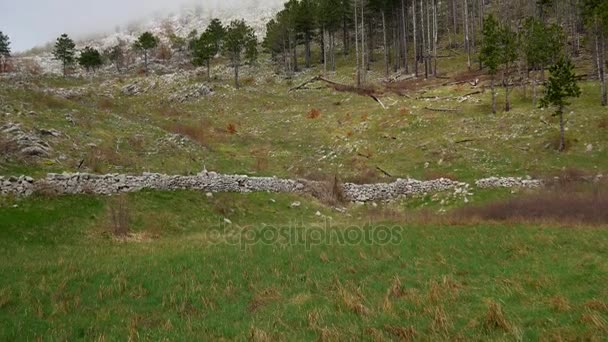 Πυκνή ομίχλη στο δάσος και στα βουνά με το χωριό του Ν — Αρχείο Βίντεο