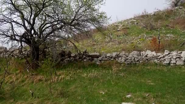 Густой туман в лесу и в горах в деревне N — стоковое видео