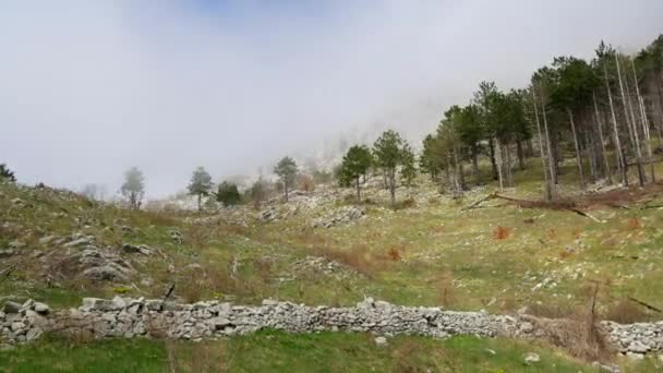 Niebla espesa en el bosque y en las montañas en el pueblo de N — Vídeos de Stock