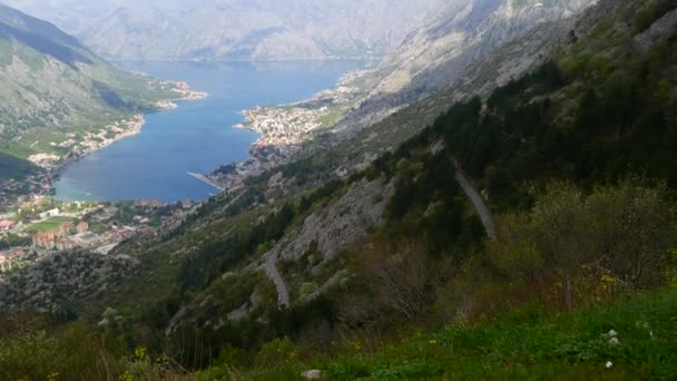 Baai van Kotor vanuit de hoogte. Uitzicht vanaf de berg Lovcen naar de baai — Stockvideo