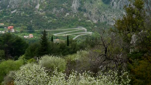 Az út a hegyek, Montenegró — Stock videók