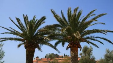 Adanın önünde park Sveti Stefan bölge. M