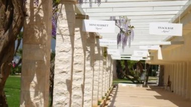 Çiçekli ağaç wisteria Karadağ, Adriyatik ve inat
