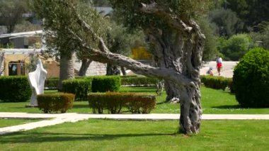 Adanın önünde park Sveti Stefan bölge. M