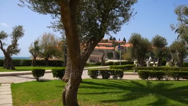 Het grondgebied van het park Sveti Stefan voor het eiland. M — Stockvideo